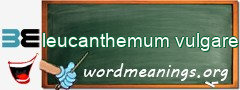 WordMeaning blackboard for leucanthemum vulgare